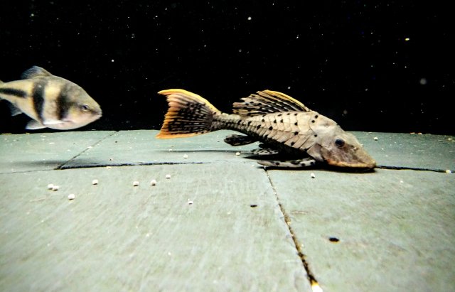 IMG_20181218_203103.jpg IMG_20181218_203103.jpg