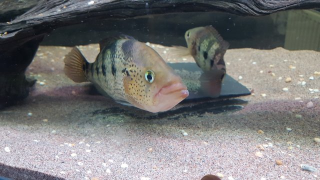 20181227_200107.jpg 20181227_200107.jpg