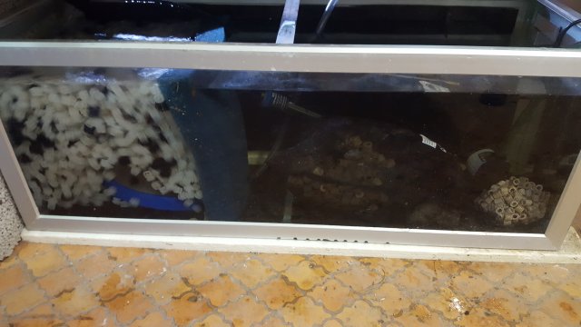 20181226_201530.jpg 20181226_201530.jpg