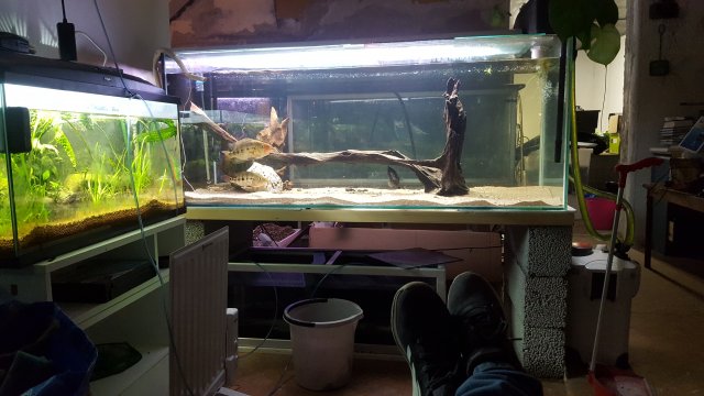 20181224_165519.jpg 20181224_165519.jpg