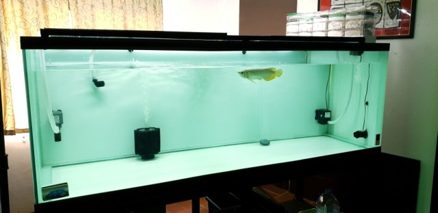 325g Filtration pic 1 m.jpg 325g Filtration pic 1 m.jpg