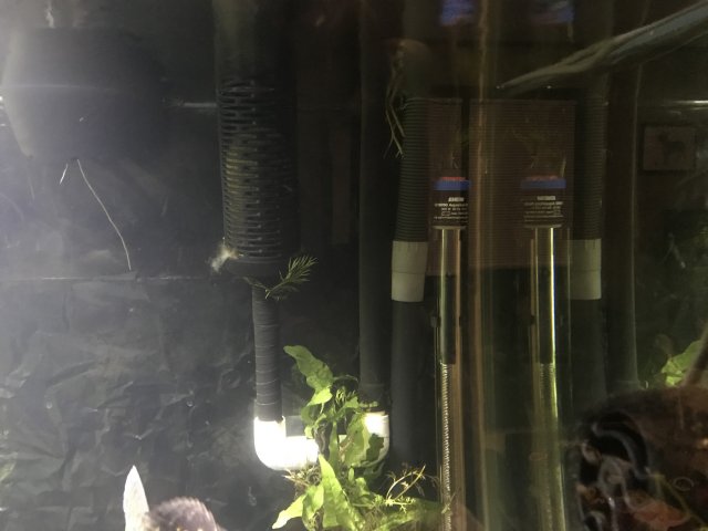 093D8F45-5363-49D0-8D72-82A1E801606F.jpeg 093D8F45-5363-49D0-8D72-82A1E801606F.jpeg