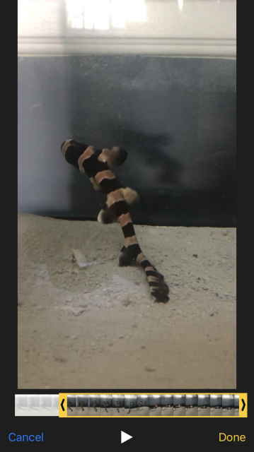 6C131447-6ECB-40B8-9B94-D52CDF6B49A1.png