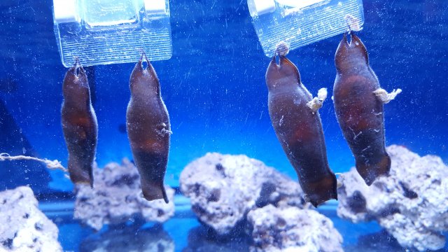 20190105_214755.jpg