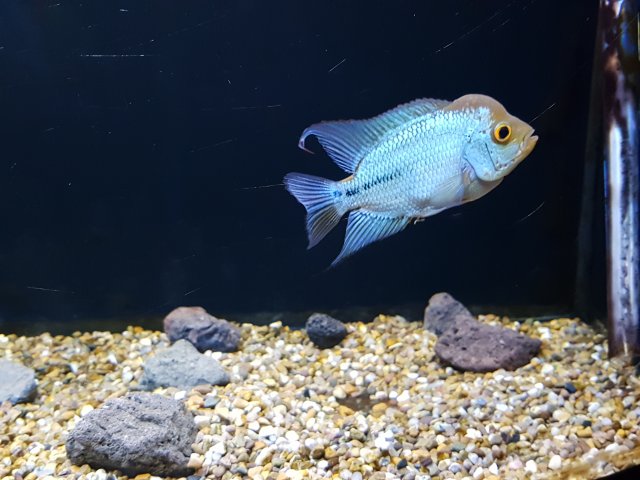 20190106_134833.jpg 20190106_134833.jpg