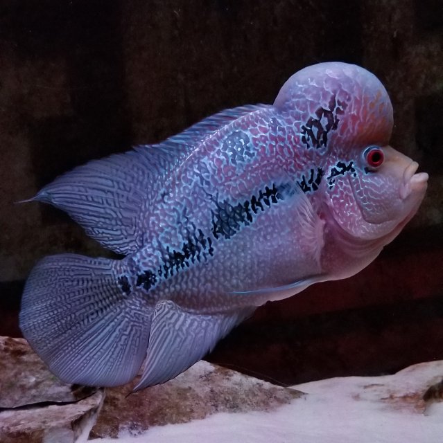 20180927_222833.jpg