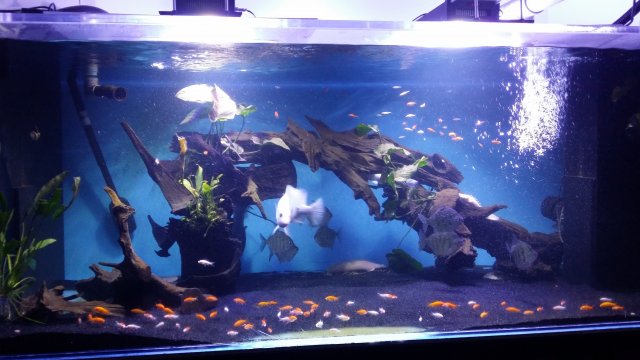20151225_154241.jpg