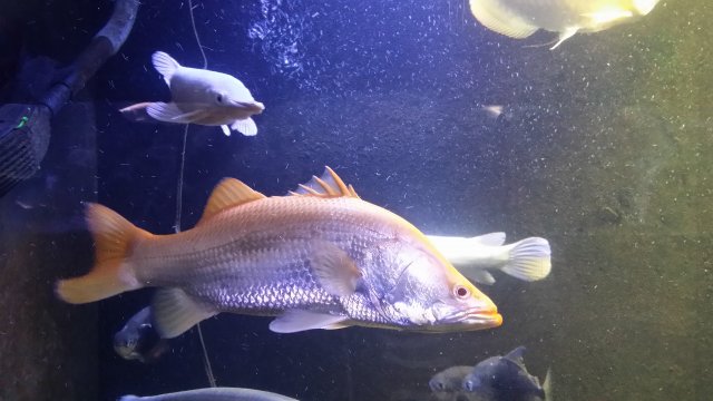 20151217_000706.jpg