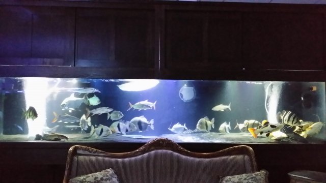 20151028_003432.jpg