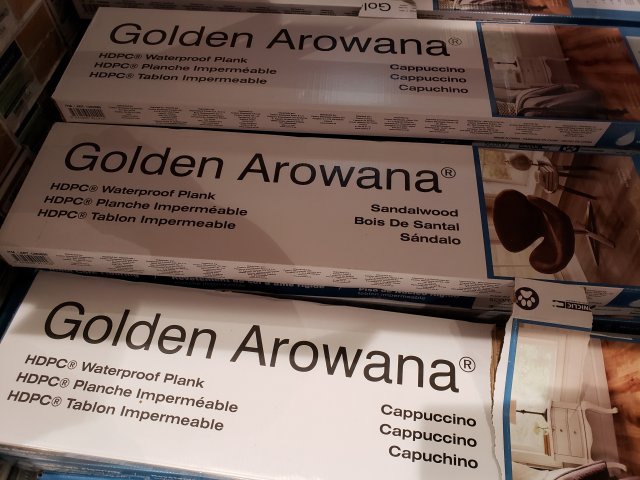 Golden Arowana At Costco Monsterfishkeepers Com
