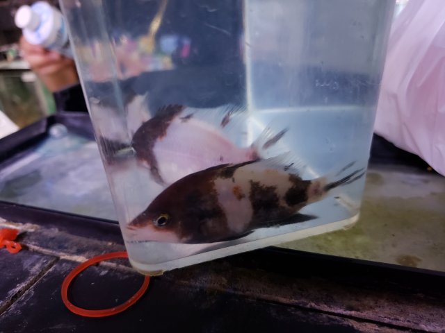 20190108_151127.jpg