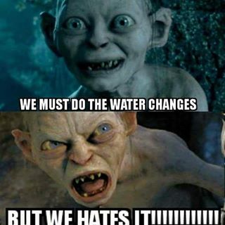 6418948A-3A3D-47F4-BFA0-4077E353848A.jpeg