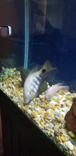 20181223_125145.jpg