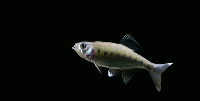 DSC_8271.jpg