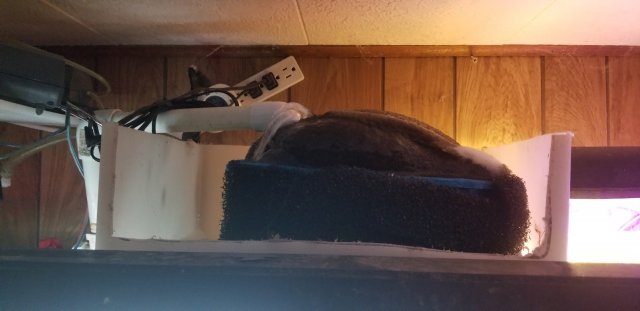 20190107_174237.jpg