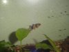 DSC00113.JPG