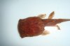 DSC00412.JPG
