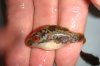 DSC00410.JPG