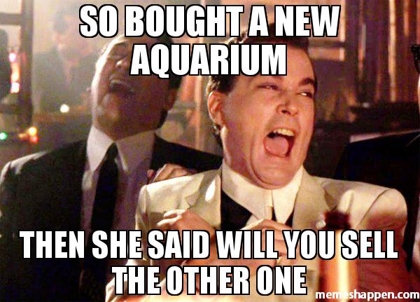 So-Bought-a-new-aquarium-Then-she-said-will-you-sell-the-other-one-meme-52759.jpg