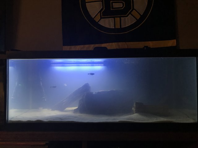 IMG_6556.JPG IMG_6556.JPG