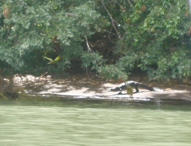 fullsizeoutput_b29.jpeg fullsizeoutput_b29.jpeg