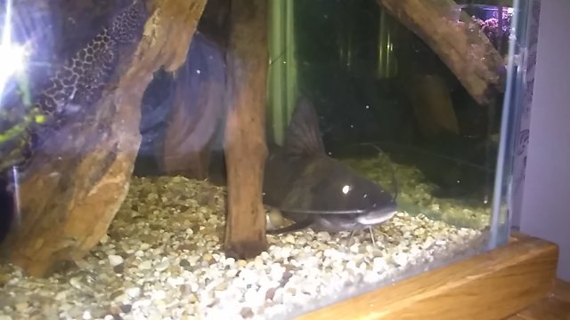 IMG_20190108_201556.jpg