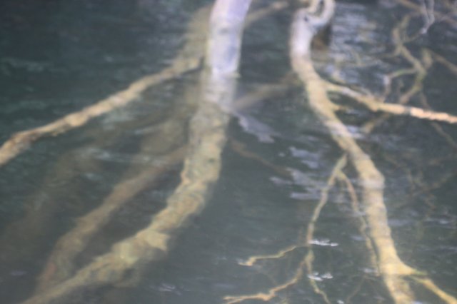 IMG_1969.JPG IMG_1969.JPG