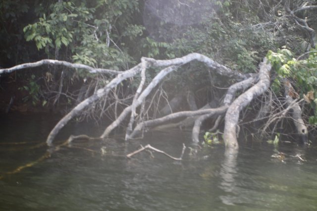 fullsizeoutput_b32.jpeg fullsizeoutput_b32.jpeg