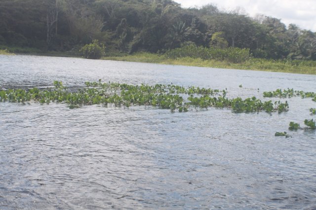 IMG_1948.JPG IMG_1948.JPG