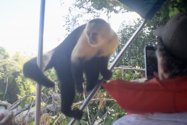 fullsizeoutput_b2d.jpeg fullsizeoutput_b2d.jpeg