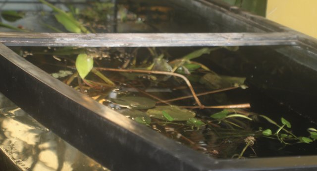 fullsizeoutput_b5e.jpeg fullsizeoutput_b5e.jpeg