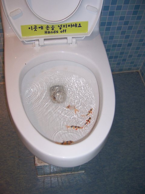 South Korea 069.jpg