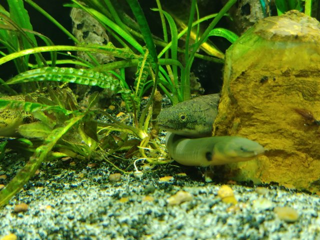 20190107_221737.jpg