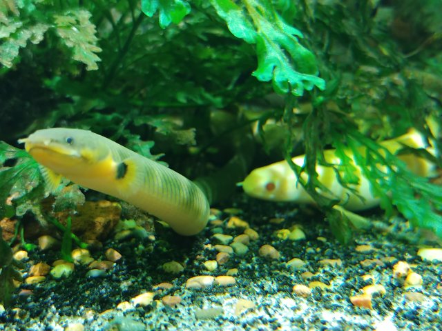 20190107_221754.jpg