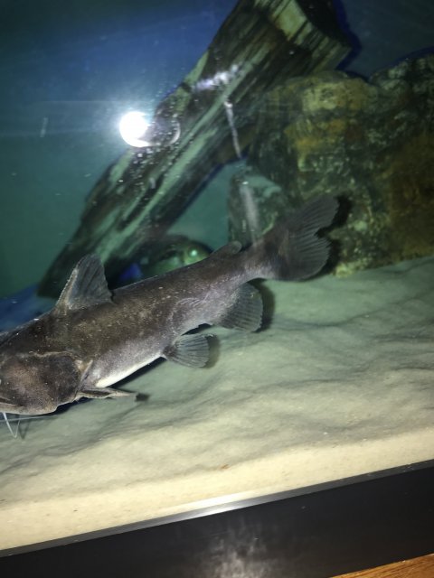 05529D3A-8F8D-463F-8E96-1E2C88B90E0A.jpeg 05529D3A-8F8D-463F-8E96-1E2C88B90E0A.jpeg