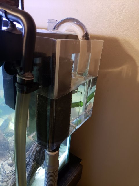 20190113_185810.jpg