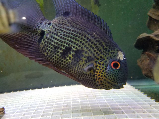 20190114_202856.jpg