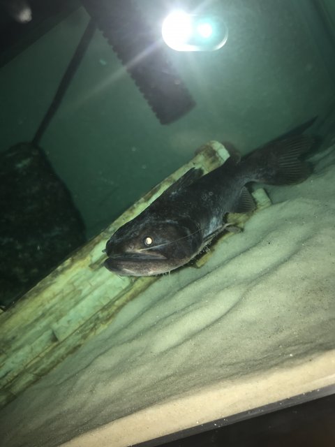 03510740-DB83-4B00-A023-0C7A8BC5791A.jpeg 03510740-DB83-4B00-A023-0C7A8BC5791A.jpeg