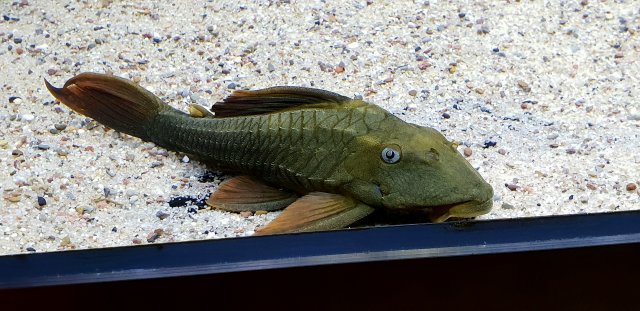 20190114_173552.jpg