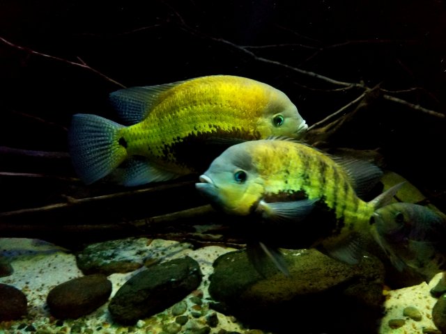 20190115_211802.jpg 20190115_211802.jpg