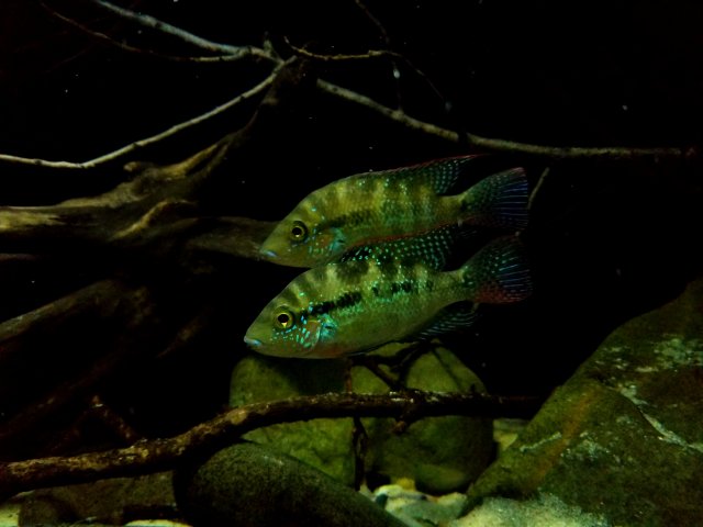 20190115_211634.jpg 20190115_211634.jpg