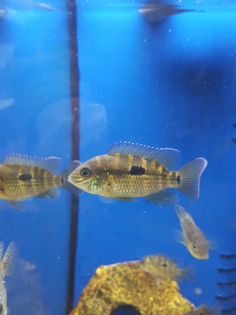 20190117_154109.jpg