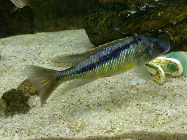 IMG_20190118_132835437~2.jpg
