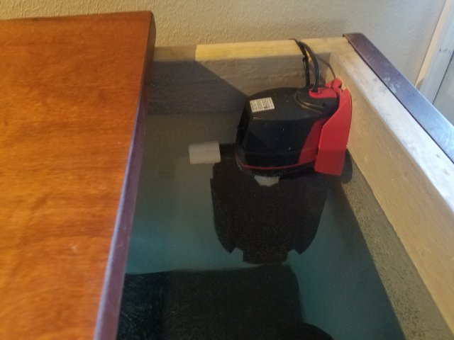 20190118_154505.jpg 20190118_154505.jpg