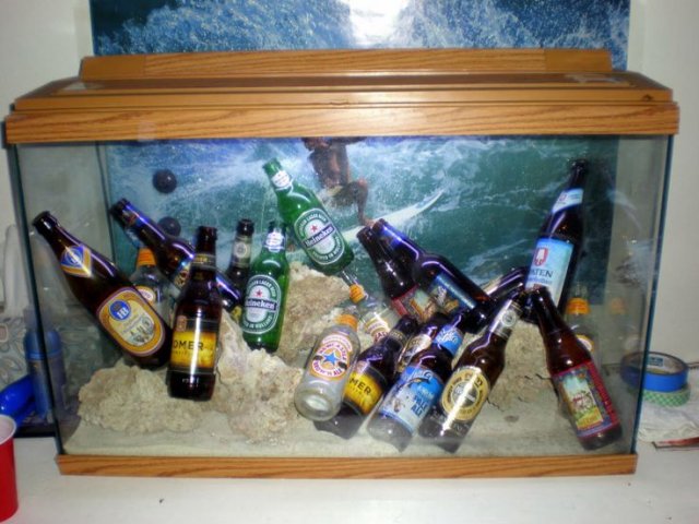 fd49769b742da8565b850ad90a836728--fish-tanks-my-boyfriend.jpg
