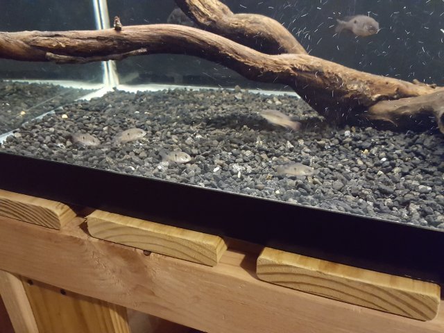 20190118_213107.jpg