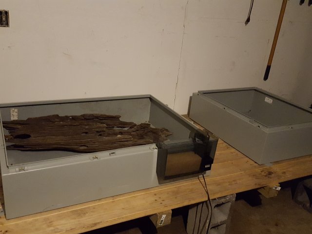 20190118_232206_001.jpg