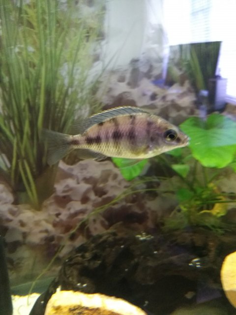 15479358568947466696182680827709.jpg 15479358568947466696182680827709.jpg