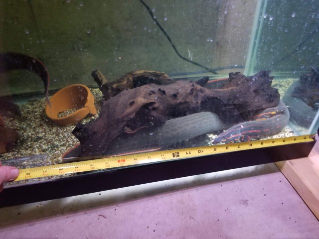 received_2109362765797475.jpeg