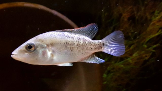 20190116_071300.jpg